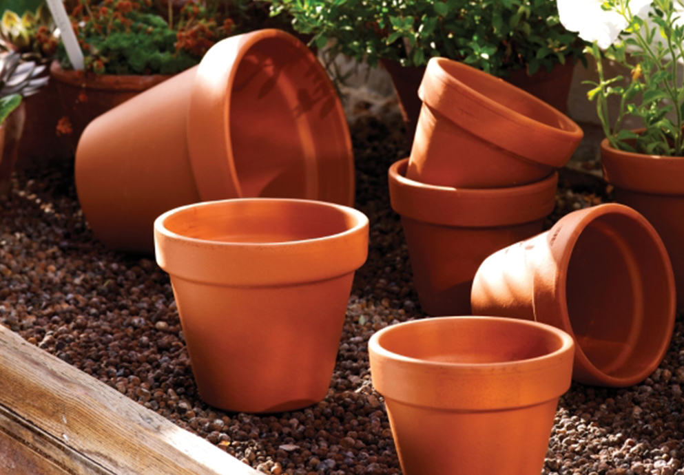 Plant Accessories